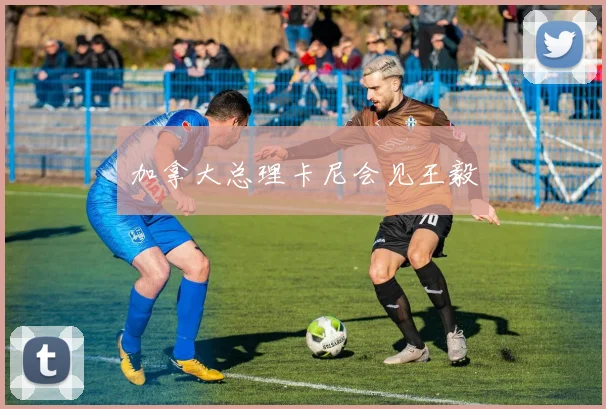 加拿大总理卡尼会见王毅