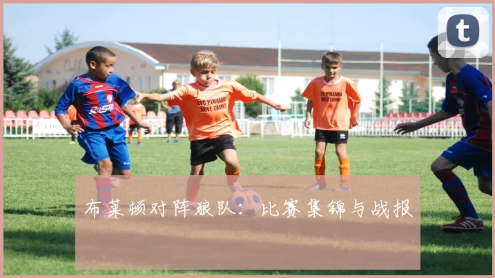 布莱顿对阵狼队：比赛集锦与战报