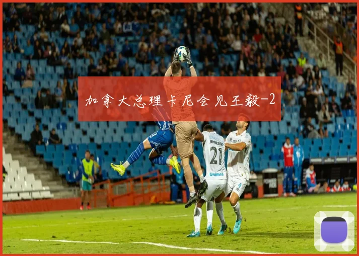 加拿大总理卡尼会见王毅