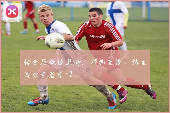 转会层级边卫榜：邓弗里斯、格里马尔多居首