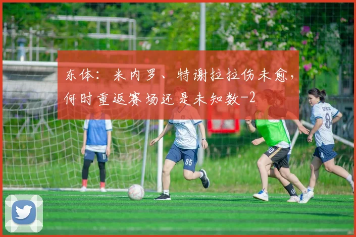 东体：米内罗、特谢拉拉伤未愈，何时重返赛场还是未知数