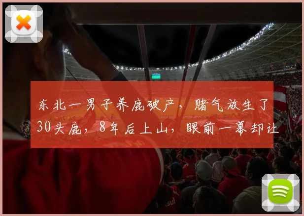 东北一男子养鹿破产，赌气放生了30头鹿，8年后上山，眼前一幕却让他泪崩了...