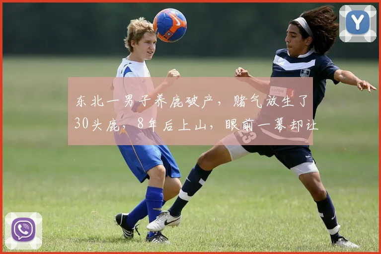 东北一男子养鹿破产,赌气放生了30头鹿,8年后上山,眼前一幕却让他泪崩了...